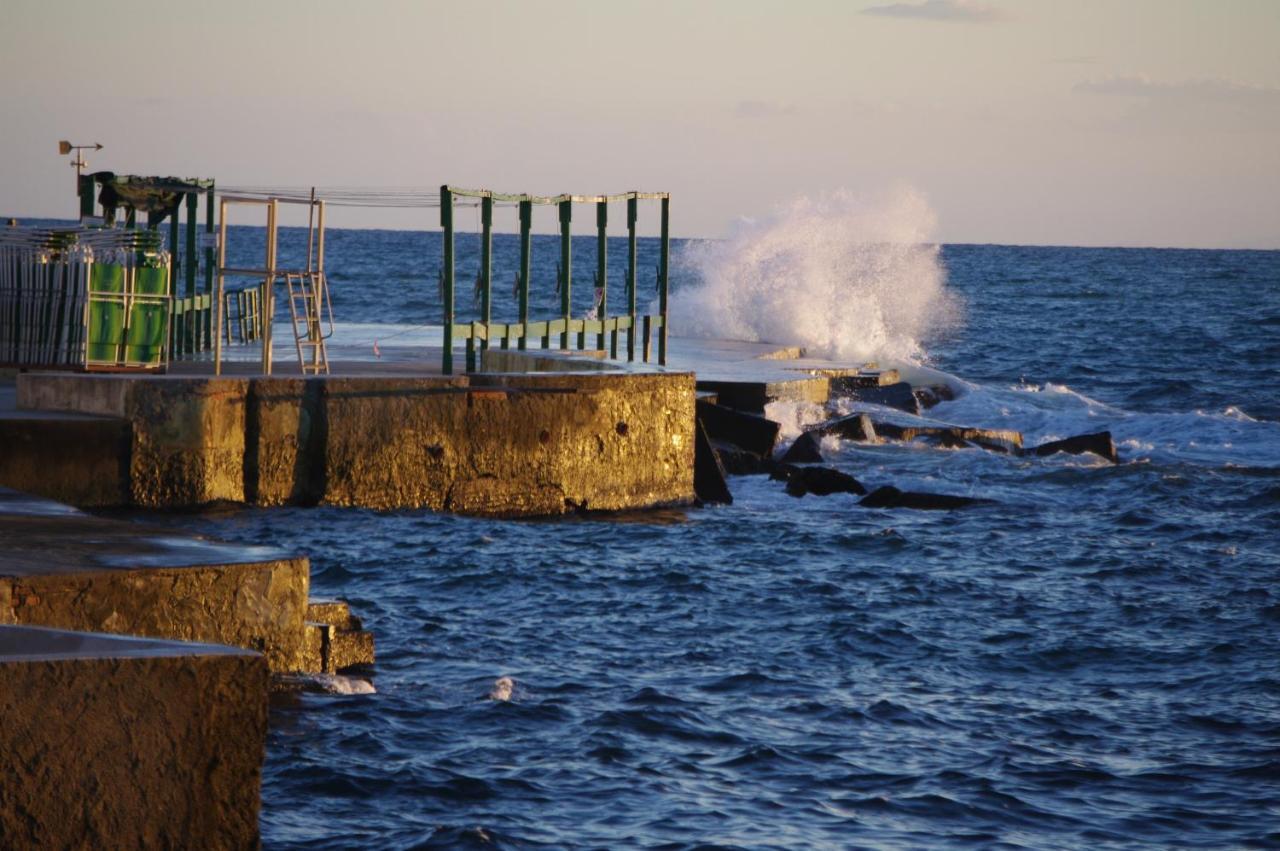 Acquamarina B&B Livorno Rum bild